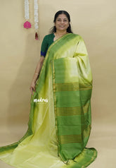 Pastel Green- Sithara - Semi tussar with gradient border and silver thread weaving body